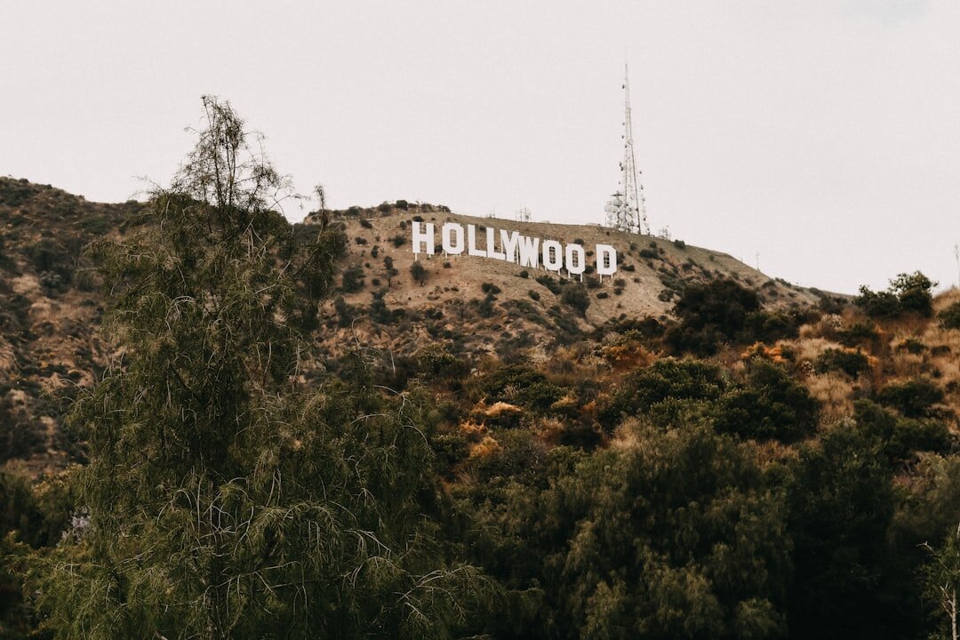hollywood couple kissing