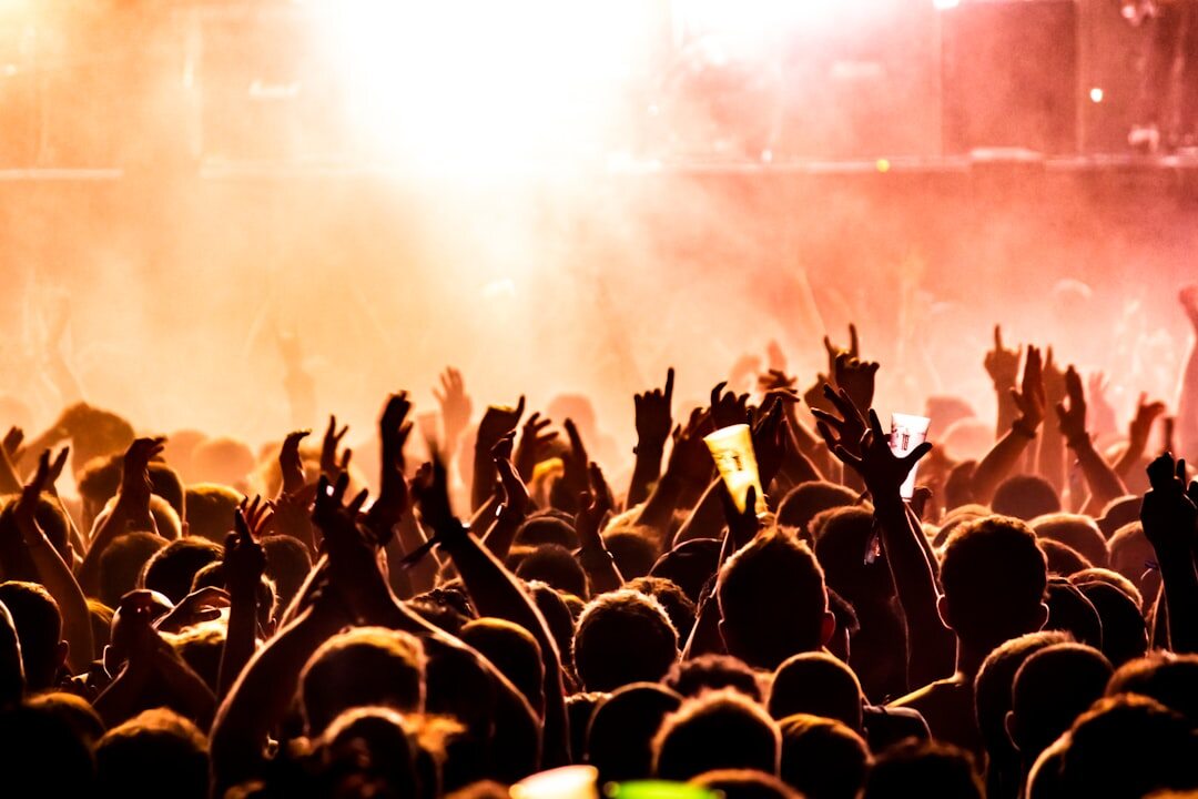 fan crowd at concert
